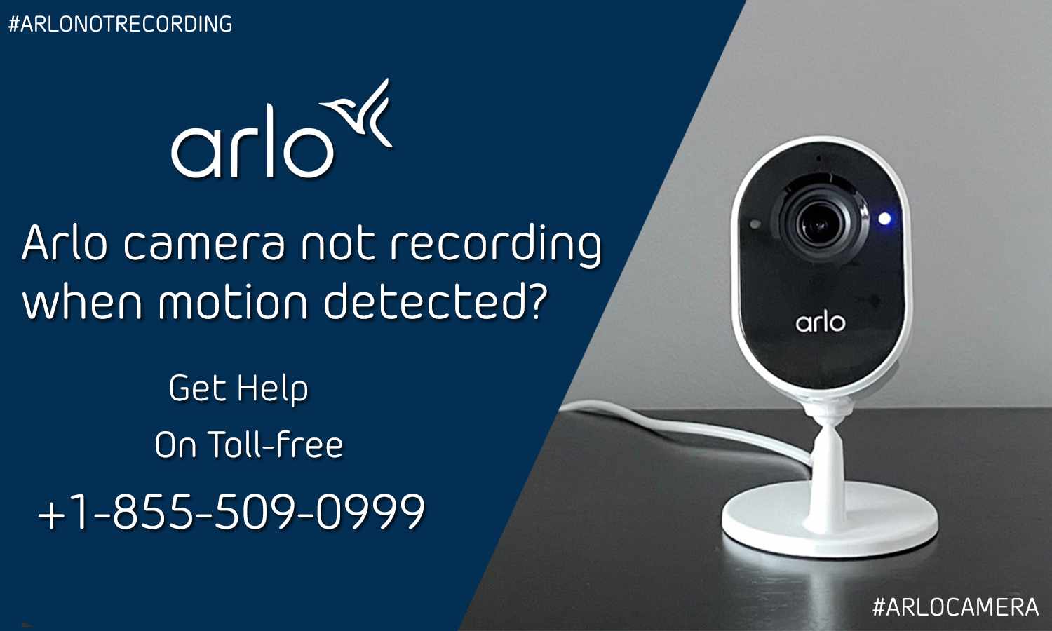 arlo-camera-not-detecting-motion-call-1-844-789-6667